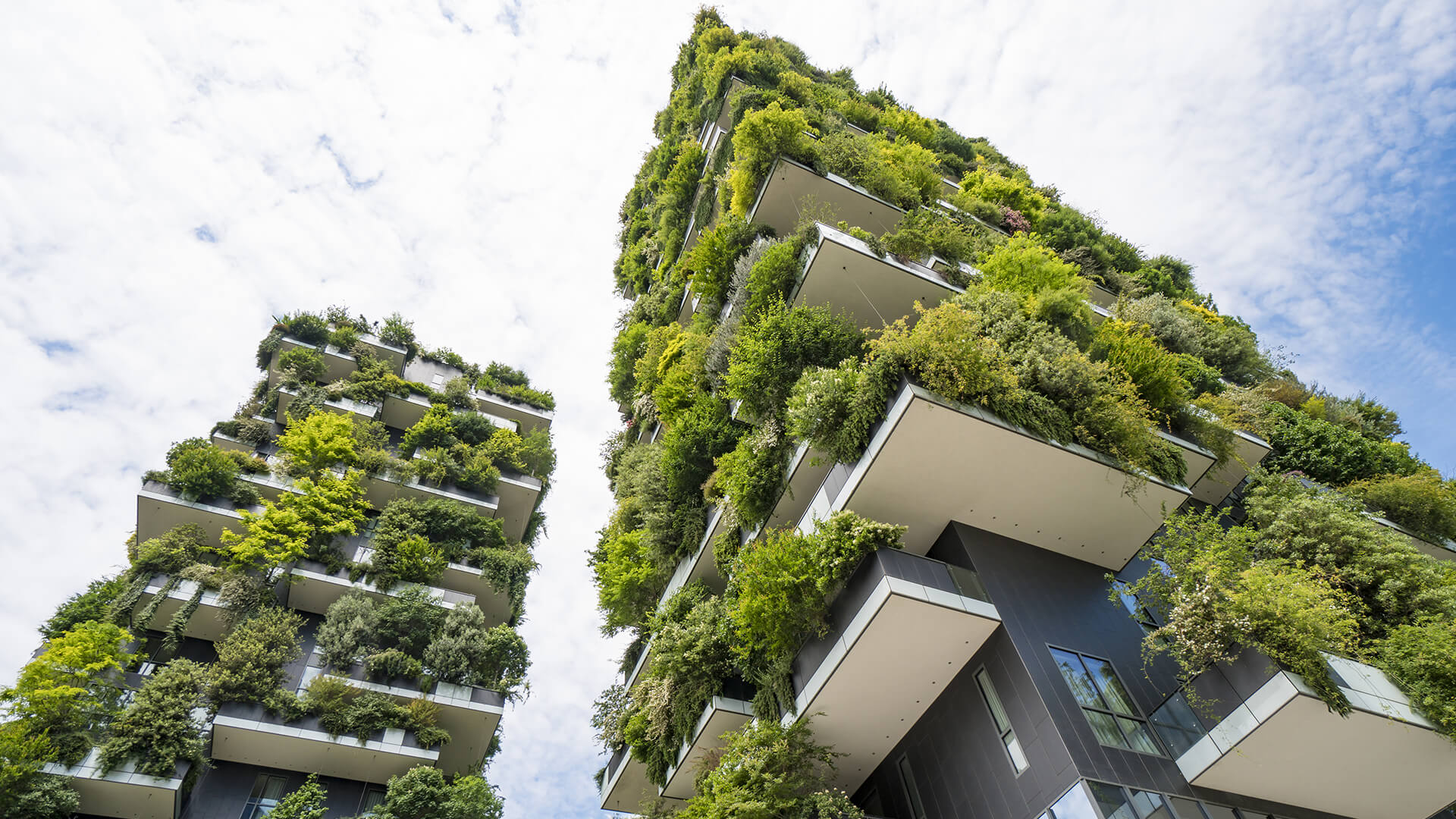 Top 5 Green Skills in Demand for Sustainable Construction Careers