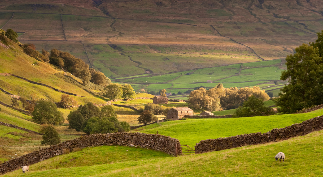 Yorkshire Construction Jobs