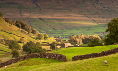 Yorkshire Construction Jobs