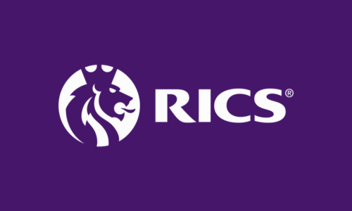 RICS Skills report and career opportunities